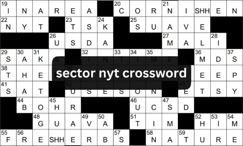 Sector NYT Crossword