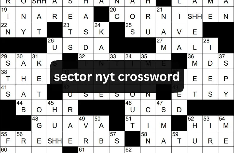 Sector NYT Crossword