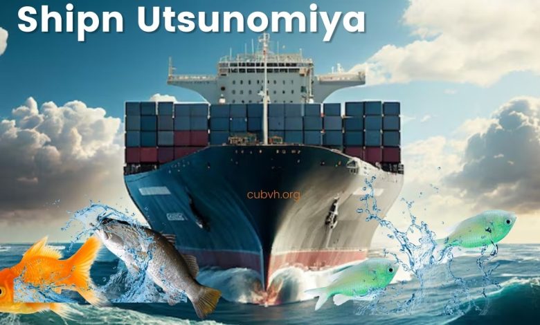 Shipn Utsunomiya